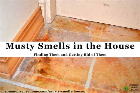 why does it smell like metal in my house|pungent odor in house.